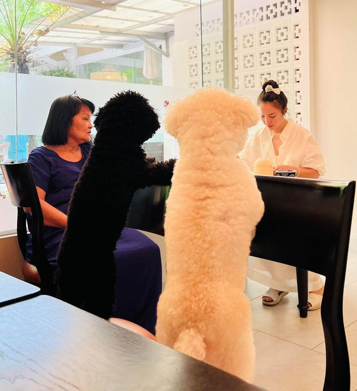 Sao Việt 15/6: Bảo Thy bế con, khoe dáng nóng bỏng trong chuyến du lịch - 4