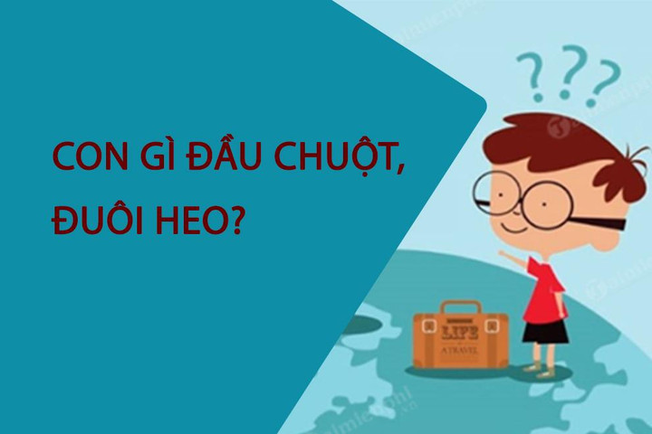 Con gì đầu chuột, đuôi heo? - 1