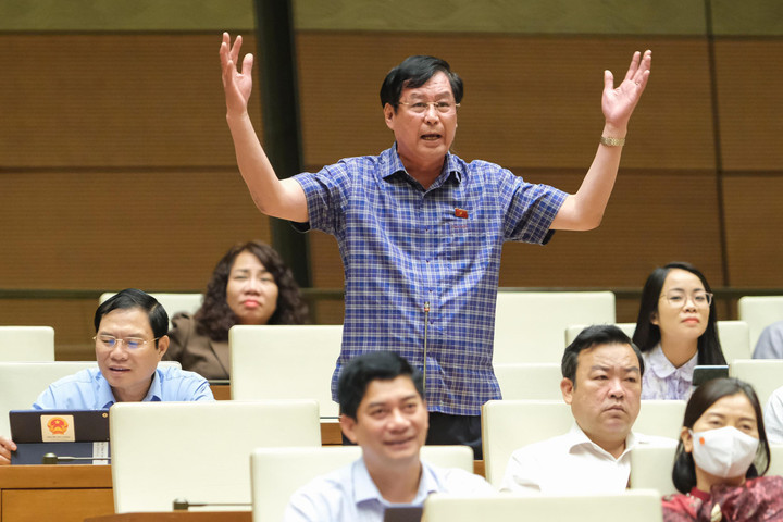 ĐBQH: Nhiều người bị bạo hành nhưng không lên tiếng vì 'đóng cửa bảo nhau' - 1