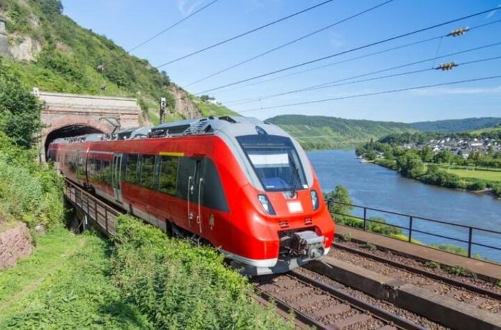 Đức lên kế hoạch giúp Ukraine xuất khẩu ngũ cốc - 1