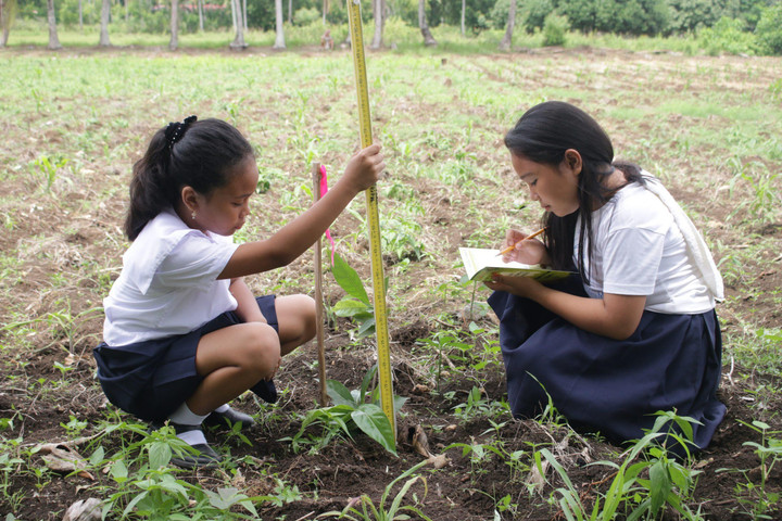 Ở Philippines, học giỏi vẫn không thể tốt nghiệp nếu chưa đạt ‘KPI’ về cây xanh - 2