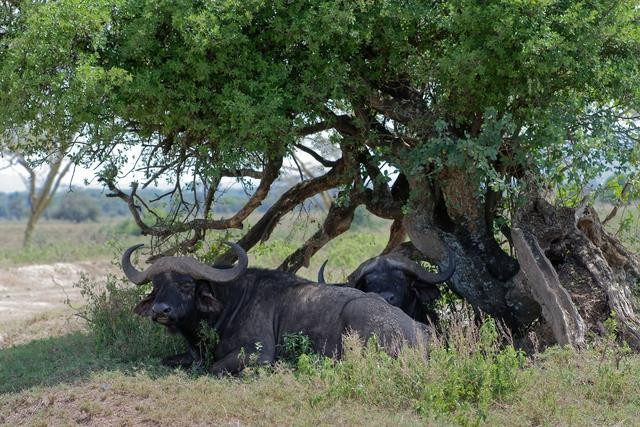 Tại sao nam giới thích để điều hòa lạnh sâu, còn phụ nữ chỉ cần hơi mát quá đã không chịu được? - Ảnh 4. Tại sao nam giới thích để điều hòa lạnh sâu, còn phụ nữ thì không? - 4