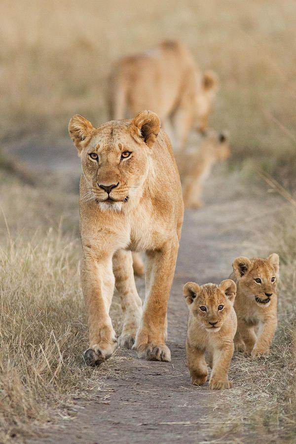 Tại sao nam giới thích để điều hòa lạnh sâu, còn phụ nữ chỉ cần hơi mát quá đã không chịu được? - Ảnh 5. Tại sao nam giới thích để điều hòa lạnh sâu, còn phụ nữ thì không? - 5