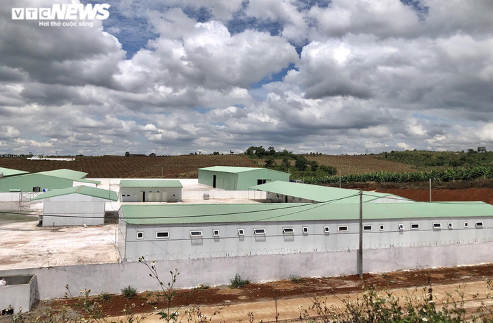 Ảnh: Trang trại nuôi heo rộng 25.000m2 xây trái phép trên đất nông nghiệp - 9