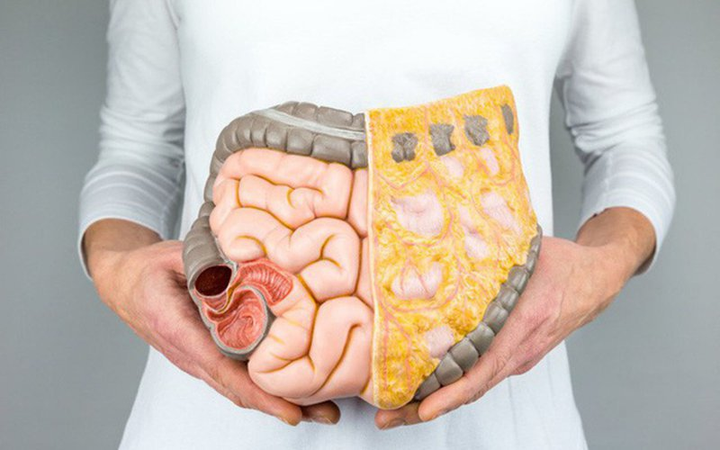 Giảm chất béo nội tạng độc hại: Nên tập thể dục vào thời điểm nào là tốt nhất? - 1