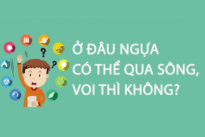 Ở đâu ngựa có thể qua sông, voi thì không? - 1