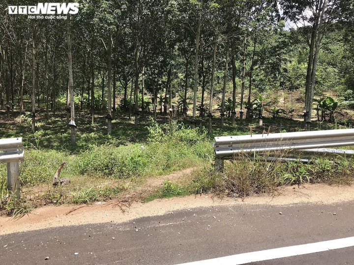 Ảnh: Nhiều hạng mục xuống cấp trên đường tránh hơn 1.000 tỷ đồng - 4