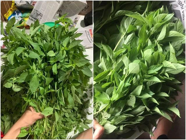 Đem mớ rau từ Đà Lạt ra Hà Nội bán giá đắt hơn thịt gà đặc sản - 3