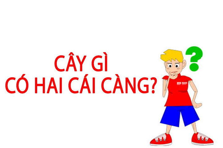 Đố vui: Cây gì có hai cái càng? - 1