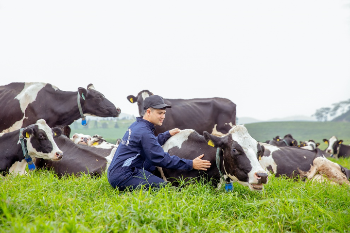 Hé lộ hình ảnh Thiên đường sữa tại Mộc Châu - kỳ quan tương lai của Tây Bắc - 7