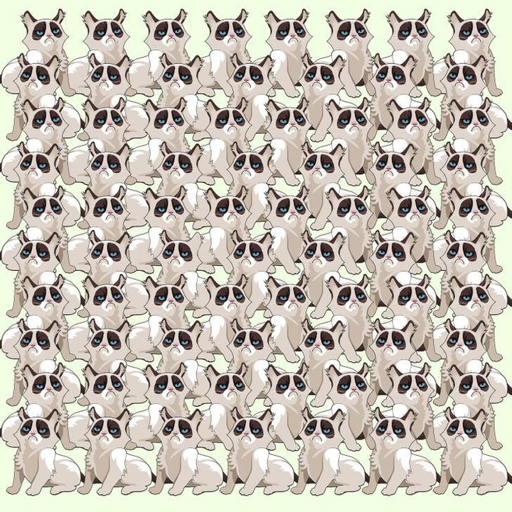 Tìm điểm khác biệt trong 5 bức tranh - 5