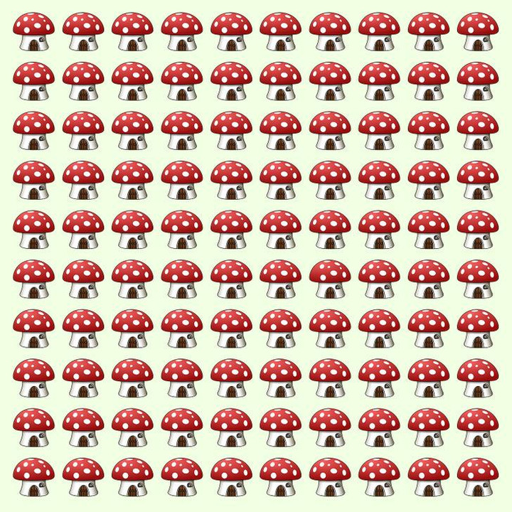 Tìm điểm khác biệt trong 5 bức tranh - 1