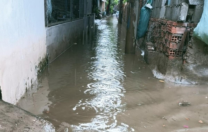 Gần 100 hộ dân ở TP Thủ Đức khốn khổ vì con hẻm ngập nước quanh năm - 1