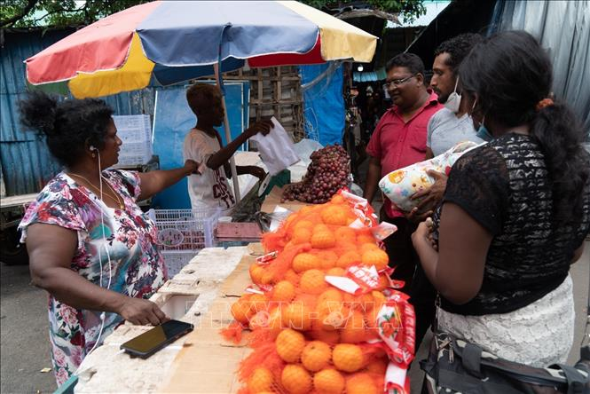 Thủ tướng Sri Lanka thừa nhận nền kinh tế đã sụp đổ - 3