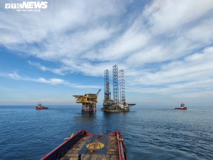 HADUCO - những 'chú ngựa' làm việc không biết mệt mỏi trên biển - 5