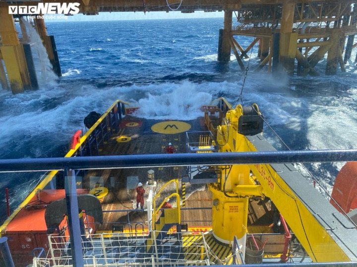 HADUCO - những 'chú ngựa' làm việc không biết mệt mỏi trên biển - 4