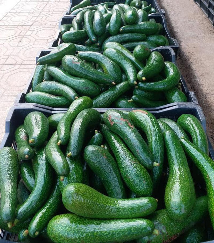 Loại quả siêu thực phẩm tràn chợ Hà Nội, giá siêu rẻ vẫn ế - 2