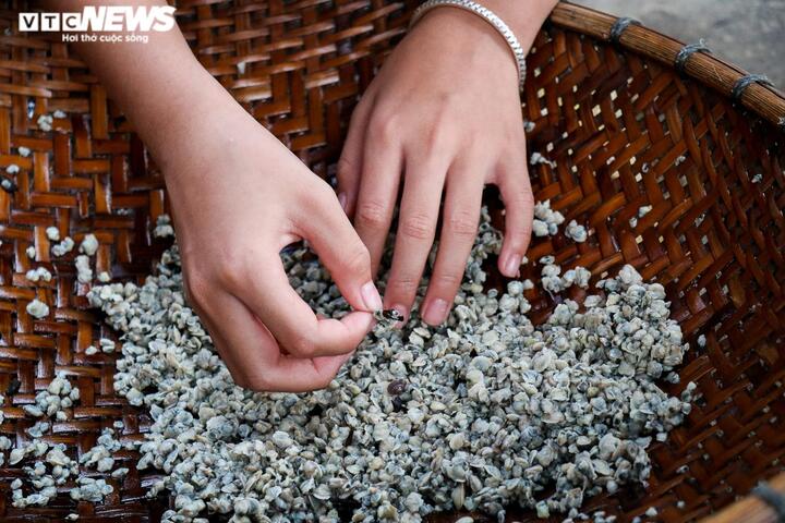 Ảnh: Nghề nấu hến ‘hốt bạc’, mặc trời nắng như đổ lửa - 10
