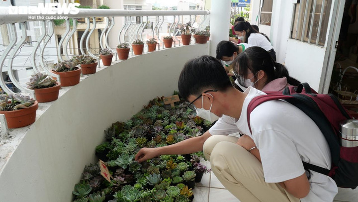 Chỉ 2 ngày đã thu được hơn 2 tấn giấy, hơn 2.500 người tham gia đổi rác lấy cây - 2