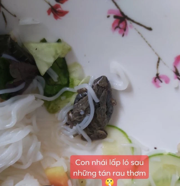 Thực khách số nhọ 'khóc thét' phát hiện những thứ không tưởng lẫn vào đồ ăn - 5