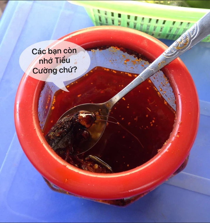 Thực khách số nhọ 'khóc thét' phát hiện những thứ không tưởng lẫn vào đồ ăn - 1