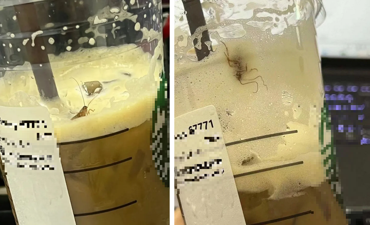 Thực khách số nhọ 'khóc thét' phát hiện những thứ không tưởng lẫn vào đồ ăn - 2