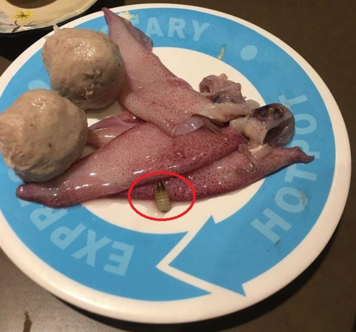 Thực khách số nhọ 'khóc thét' phát hiện những thứ không tưởng lẫn vào đồ ăn - 6
