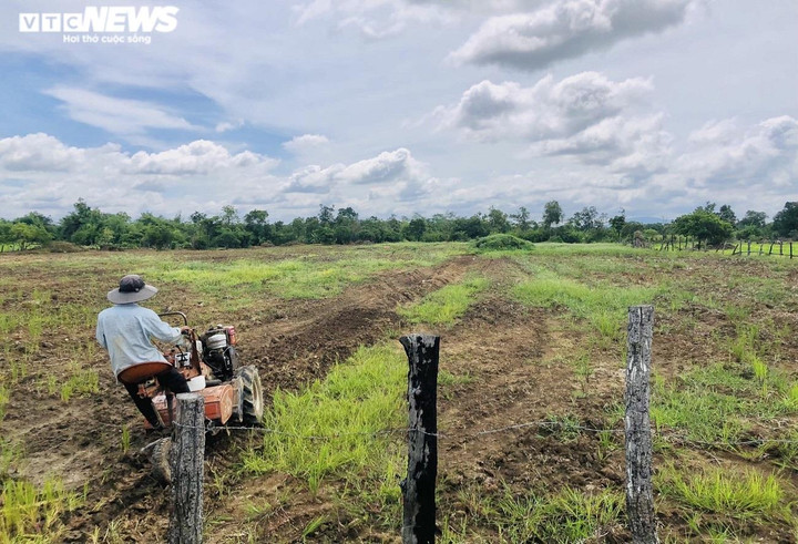 Dân khát, ruộng khô bên đại công trình thủy lợi 3.000 tỷ đồng ở Gia Lai - 2