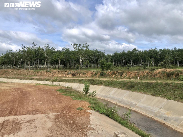 Dân khát, ruộng khô bên đại công trình thủy lợi 3.000 tỷ đồng ở Gia Lai - 4