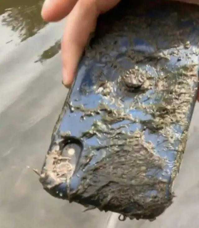 Làm rơi điện thoại xuống sông, 10 tháng sau người đàn ông nhận được điều ngỡ ngàng như phép màu - Ảnh 3. Làm rơi điện thoại xuống sông, 10 tháng sau người đàn ông nhận món quà bất ngờ - 3