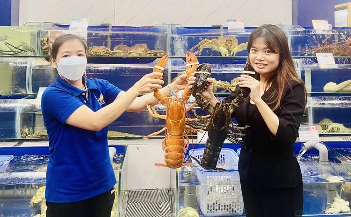 Tôm hùm màu cam cực hiếm xuất hiện tại Việt Nam, 150 triệu đồng không bán - 1