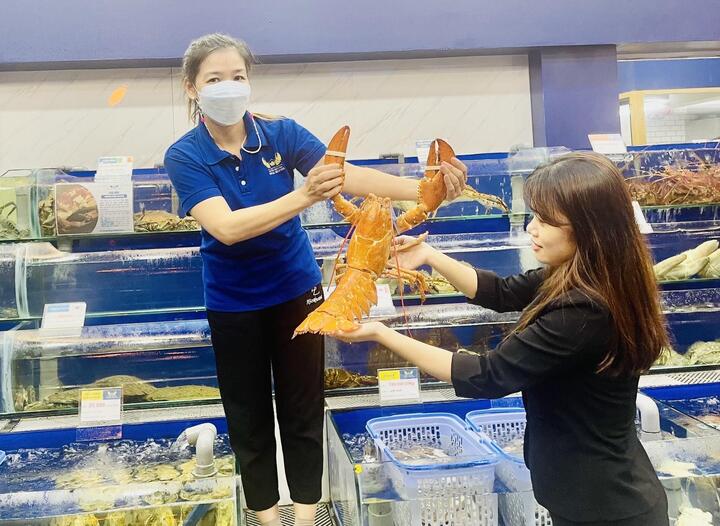 Tôm hùm màu cam cực hiếm xuất hiện tại Việt Nam, 150 triệu đồng không bán - 2