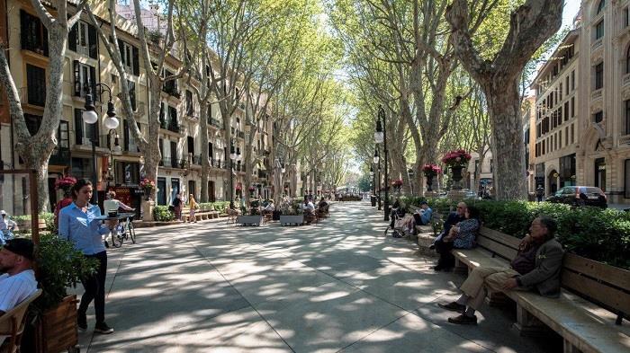 Điều gì tạo nên sức hút mãnh liệt của đảo Majorca Tây Ban Nha? - 6