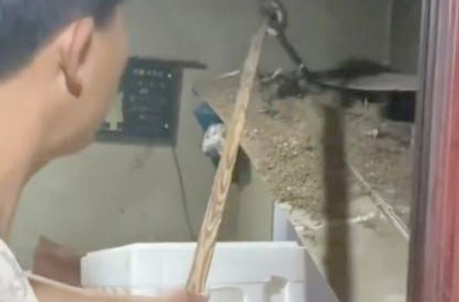 Chồng phát khiếp khi vợ lén nuôi trăn khổng lồ cầu may - 1