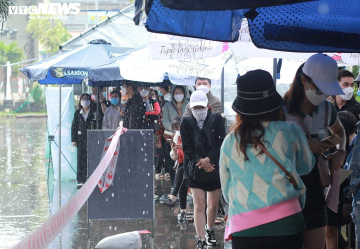 Ảnh: Hàng nghìn người đội mưa hiến máu - 6