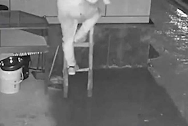  Đi gặp người yêu qua mạng, gã trai tiện thể khoắng sạch tiền mừng đám cưới - 1