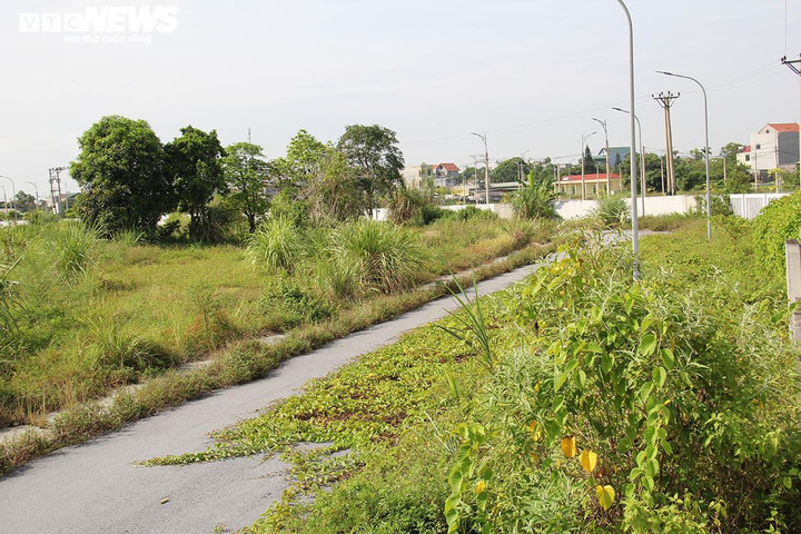 Cảnh hoang tàn, ngổn ngang trong dự án Bệnh viện Bạch Mai Hà Nam nghìn tỷ - 7