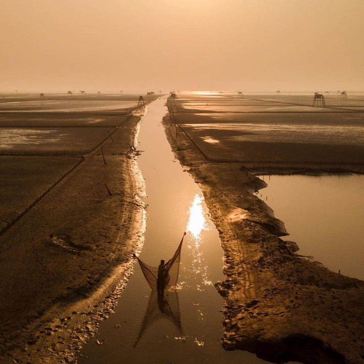 Bãi biển hoang sơ ở Thái Bình với những chòi canh ngao ẩn hiện đầy thơ mộng - 4