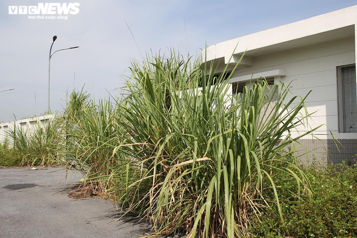 Cảnh hoang tàn, ngổn ngang trong dự án Bệnh viện Bạch Mai Hà Nam nghìn tỷ - 12