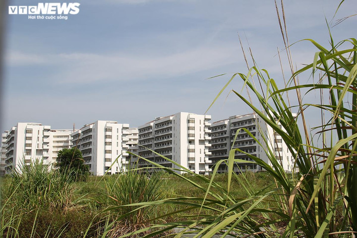 Cảnh hoang tàn, ngổn ngang trong dự án Bệnh viện Bạch Mai Hà Nam nghìn tỷ - 3