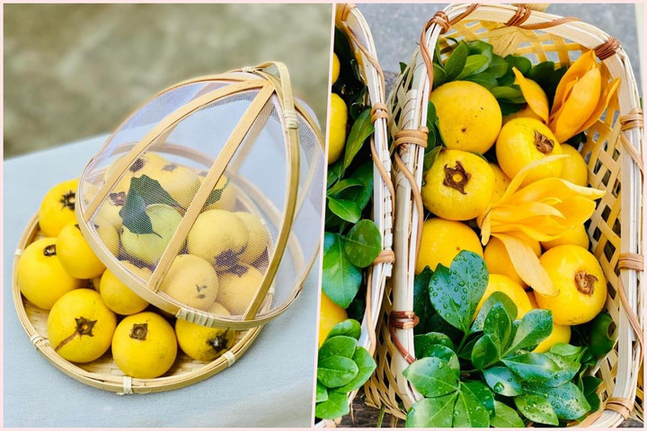 Loại quả 'gây thương nhớ' vào mùa, giá chát gần 200.000 đồng/kg vẫn cháy hàng - 2