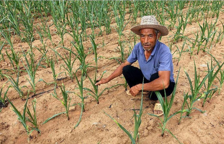 Vụ án đào mộ, trộm thi thể chấn động Trung Quốc: Lần tìm thủ phạm - 3