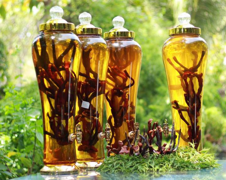 Tử vong sau khi uống rượu ngâm từ rễ cây rừng - 1