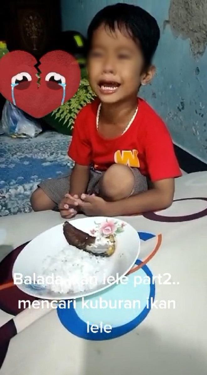 Cậu bé vật vã khóc khi mẹ chiên cá cưng để ăn cơm, hành động sau còn bất ngờ hơn - 1