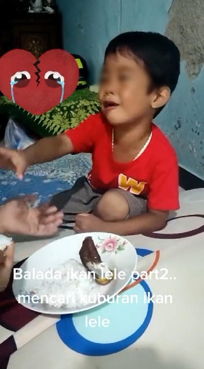 Cậu bé vật vã khóc khi mẹ chiên cá cưng để ăn cơm, hành động sau còn bất ngờ hơn - 2