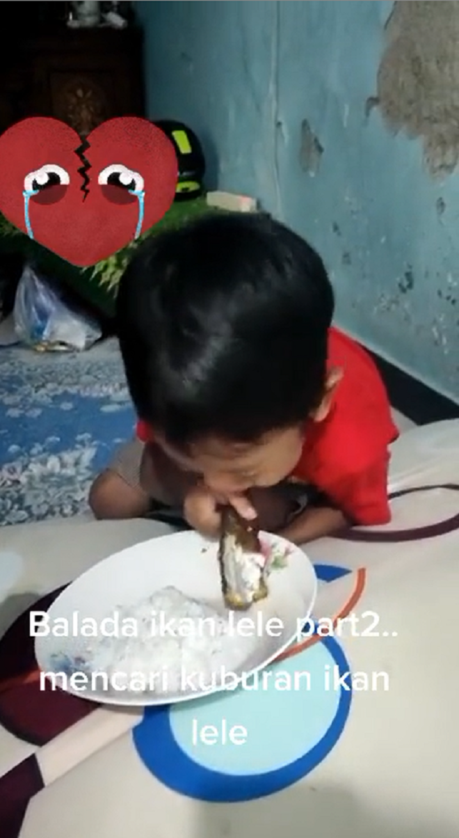 Cậu bé vật vã khóc khi mẹ chiên cá cưng để ăn cơm, hành động sau còn bất ngờ hơn - 3