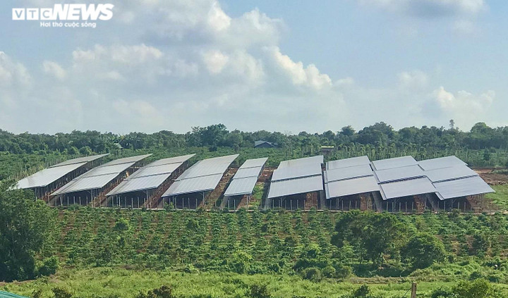 Sở Công Thương Gia Lai từ chối cung cấp danh sách dự án điện mái nhà sai phạm - 1