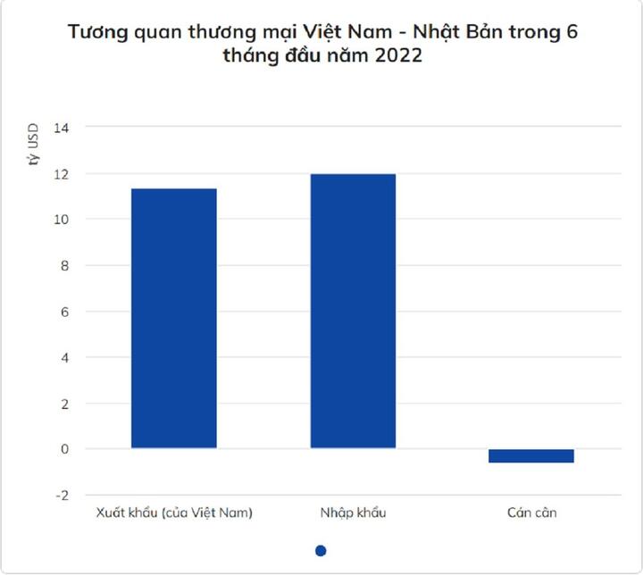 Xuất nhập khẩu Việt Nam - Nhật Bản đạt hơn 20 tỷ USD - 1