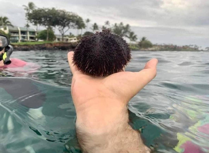 99% mọi người đều nhầm nhìn bức ảnh này lần đầu tiên, còn bạn? - 1