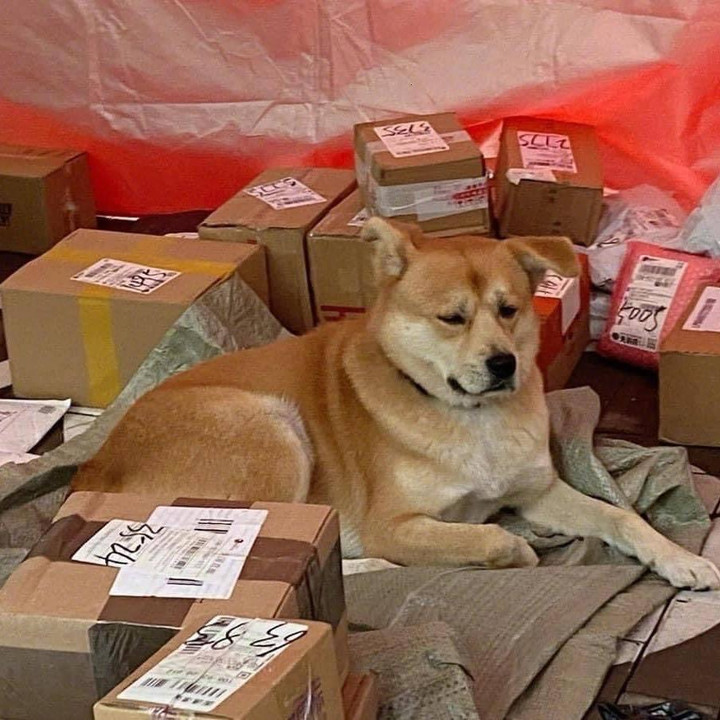 Khi 'boss' đích thân giúp 'sen' trông hàng quán và cái kết không nhịn được cười - 3